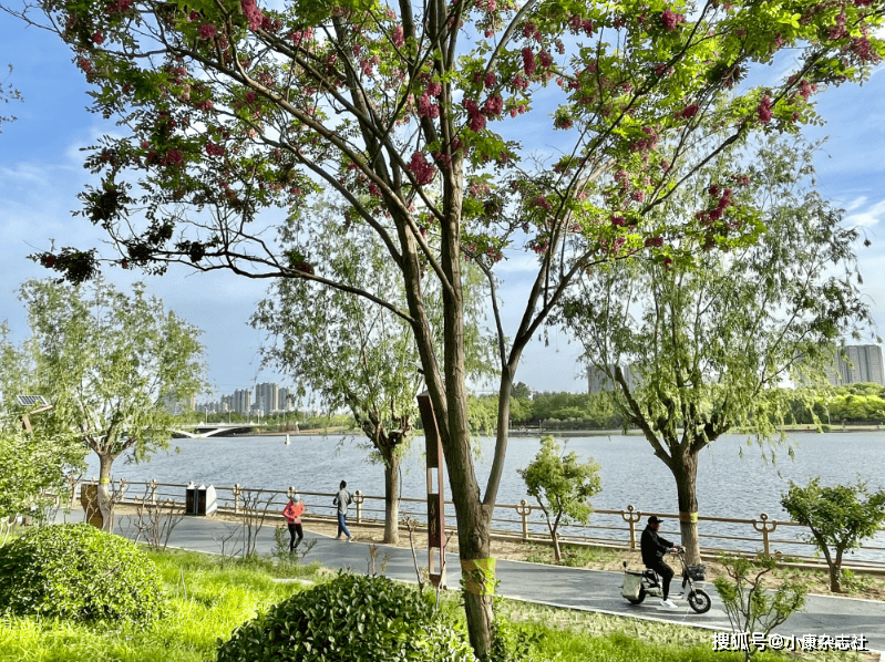 🌸【澳门一码中精准一码免费中特】🌸-稳中求进促发展，益丰大药房高毅引领企业健康、智慧转型