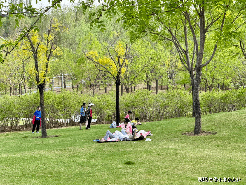 🌸【7777788888王中王中王】🌸-倡导健康生活方式，“小黄鸭欢乐跑”避暑山庄站启动  第3张