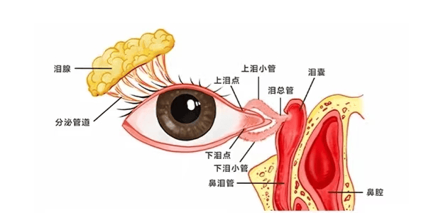 🌸【新澳2024年精准一肖一码】🌸-泰康医疗健康股票发起A近一周下跌1.19%  第4张