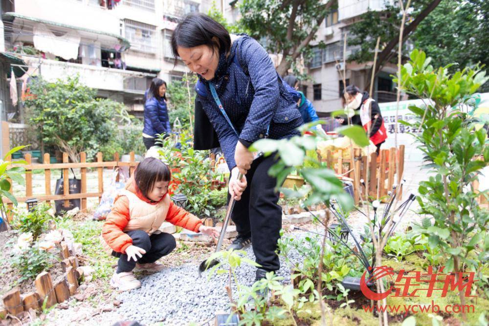 🌸【四肖八码期期准资料免费】🌸-健康咨询、政策宣讲......这场公益集市活动打通服务群众“最后一公里”