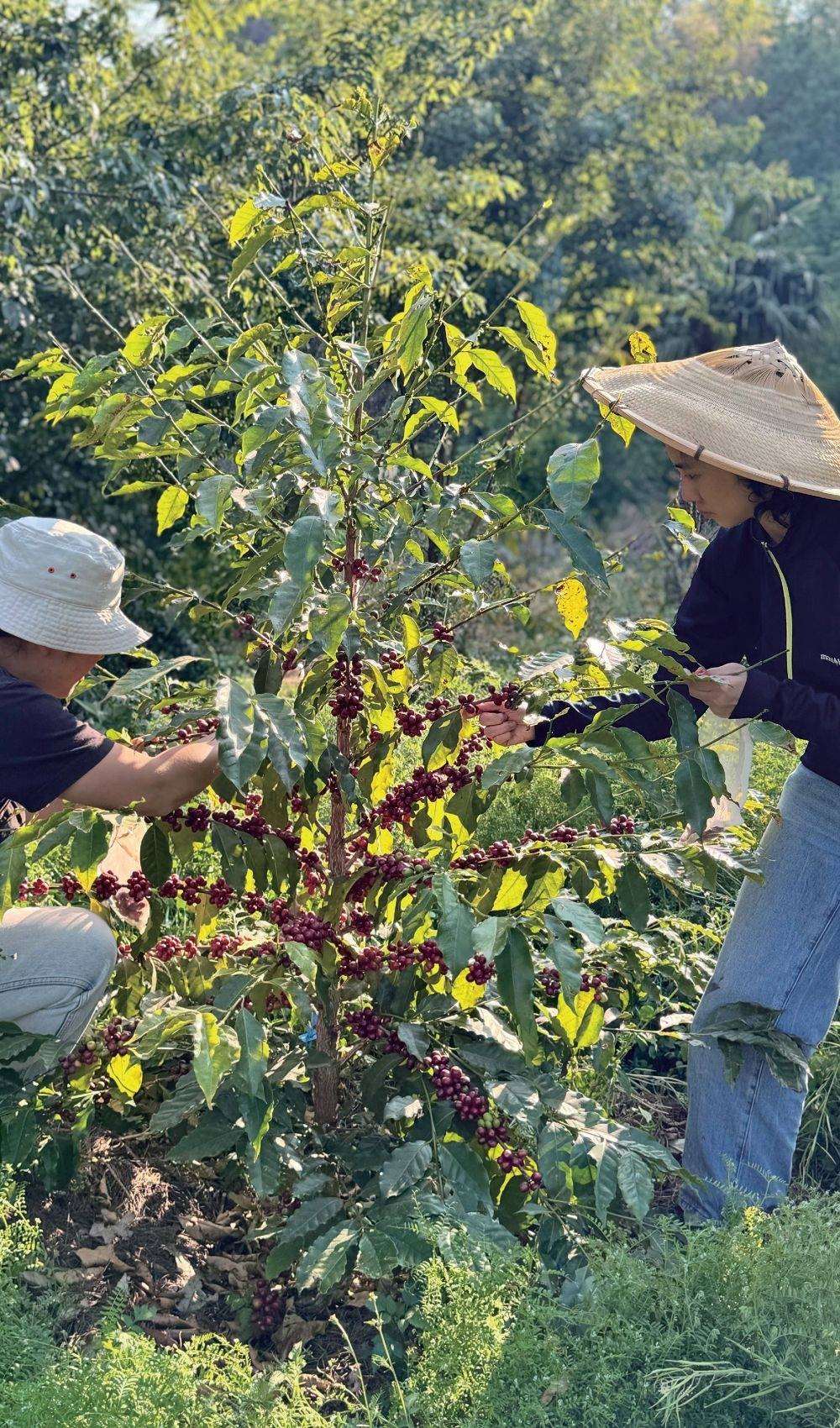 🌸【澳门一肖一码必中一肖一码】🌸-公益之行，情系希望：奥克斯与红顶公益同行宁夏银川