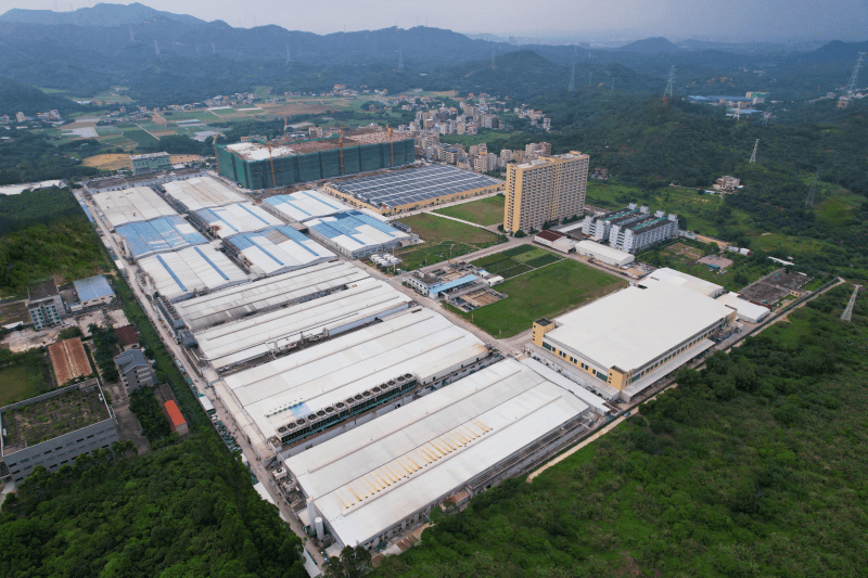 好莱坞在线：新澳门内部资料精准大全-忻州市实验小学开展“合理使用手机”主题教育班会  第3张