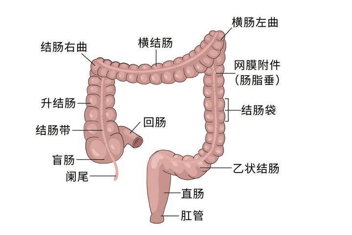 🌸【2024年新澳版资料正版图库】🌸-即日起发放补助！1000元/人，学习健康知识就有机会申请  第4张