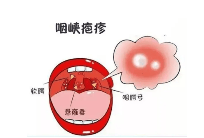 苹果：2024年新澳门正版资料大全免费-打造健康品质产品，辰颐物语助推健康中国行动