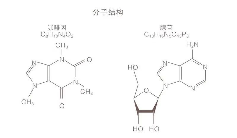 🌸【2024澳门天天彩免费正版资料】🌸-平安医疗健康混合C近一周下跌5.86%