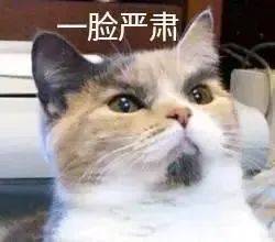 🌸【澳门王中王免费资料独家猛料】🌸-​华为手机变相降价？还可率先体验纯血鸿蒙