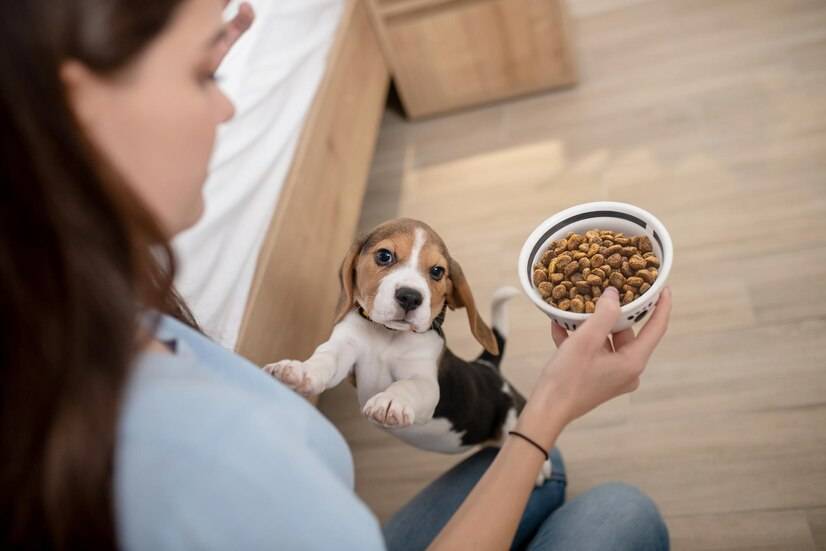 🌸【香港二四六开奖免费资料】🌸-【健康】气血不足的人，少吃4种食物，不做3件事！