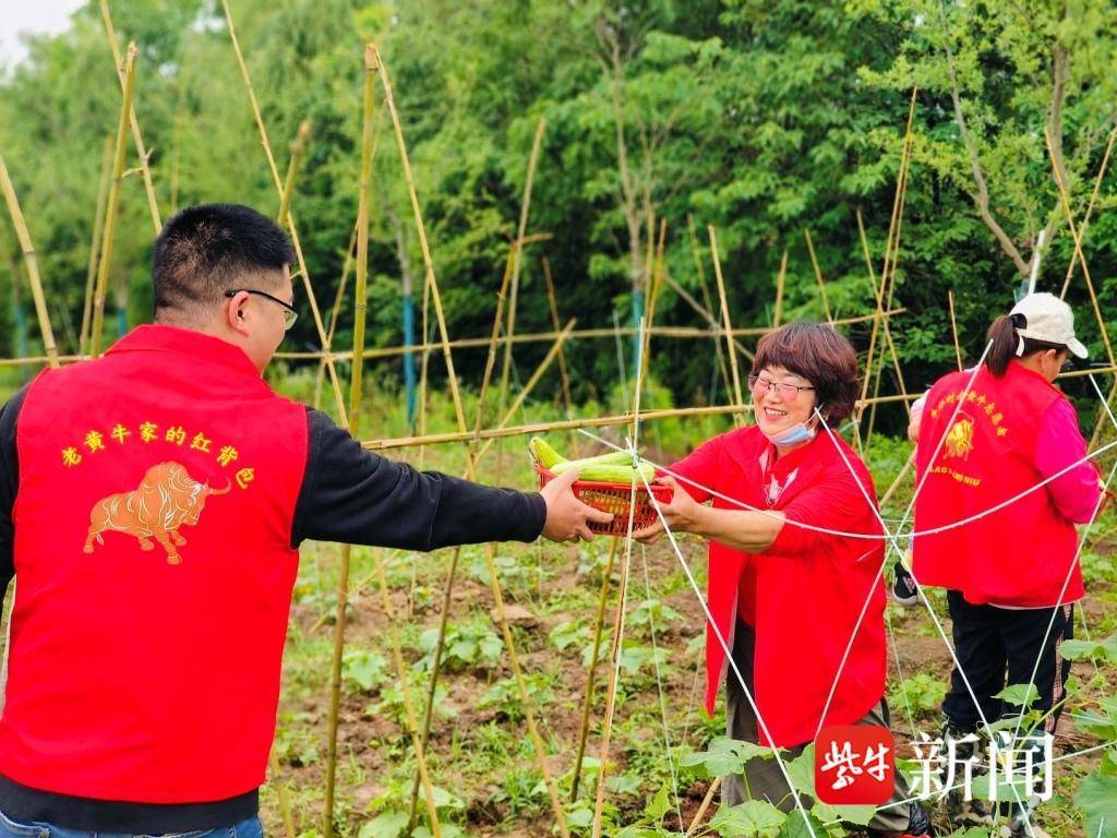 🌸【澳门一码一肖一特一中直播开奖】🌸-口镇街道开展公益岗线上培训活动