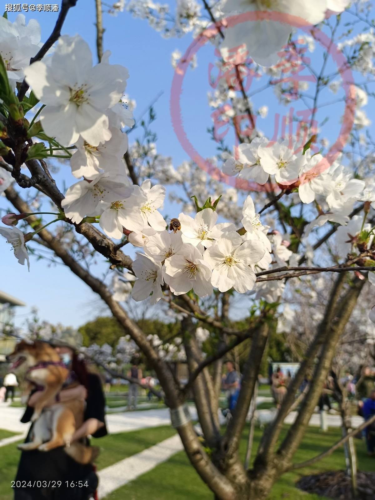 🌸【2024新澳门彩4949资料】🌸-仙乐健康新提交1件商标注册申请  第3张