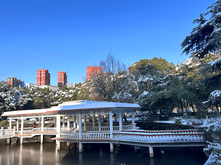 🌸【2024年新澳门王中王开奖结果】🌸-【机构调研记录】景顺长城基金调研深南电路、亚钾国际