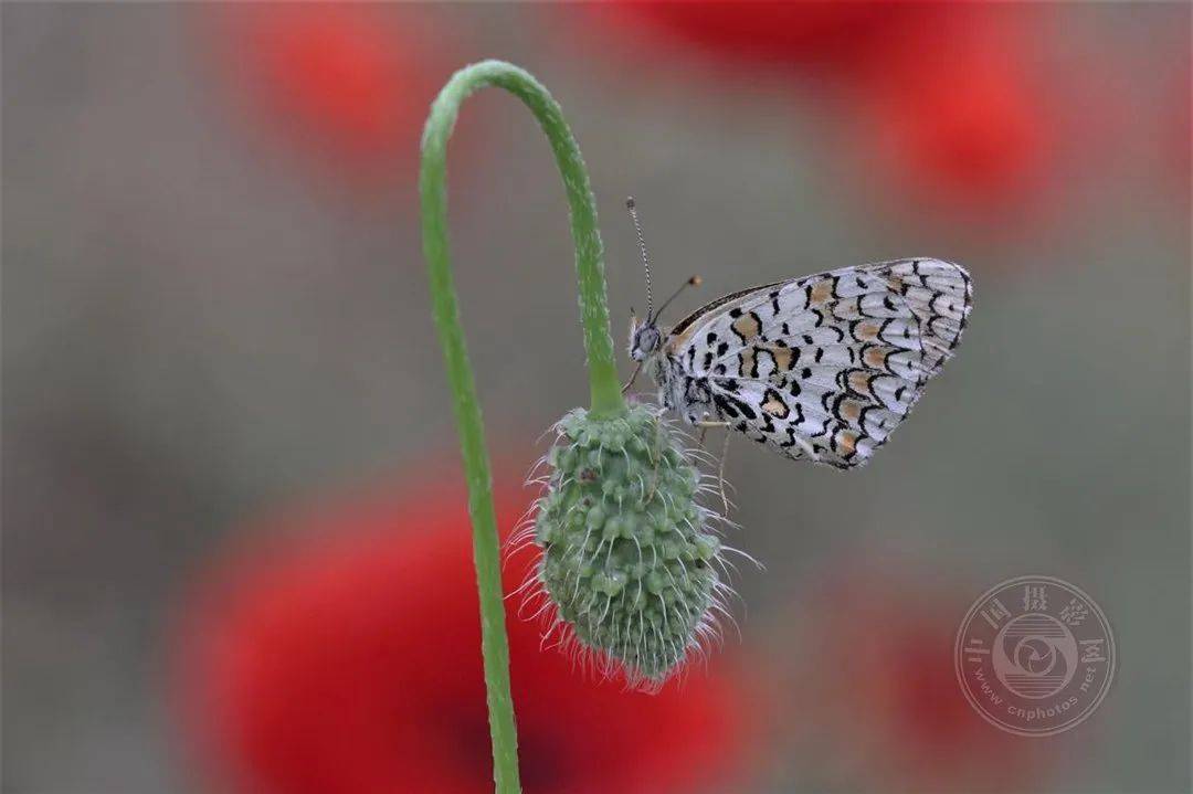 🌸【澳门一肖一码100准免费资料】🌸-富瑞：降恒安国际目标价9% 市场竞争持续激烈  第3张