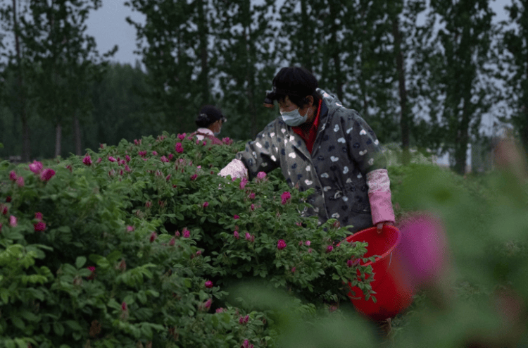 🌸【澳门精准100%一肖一码免费】🌸-健康运动迎端午，第三届上海国际亲子快乐跑活动举行  第2张