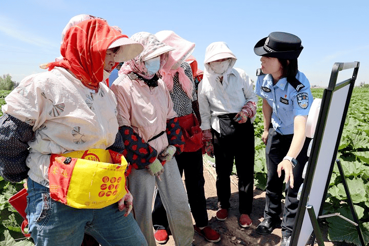 🌸【2024新澳彩料免费资料】🌸-2024中国国际大数据产业博览会新闻发布会在京召开  第1张