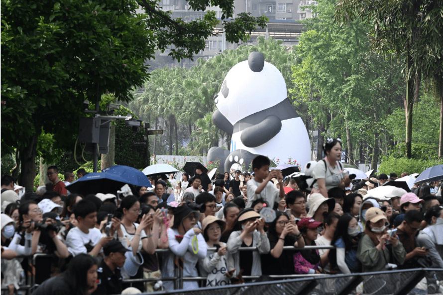 🌸【2024澳门天天开好彩大全】🌸-从山间到“指尖”：唯品会“一仓一村”公益项目让它触手可及  第6张