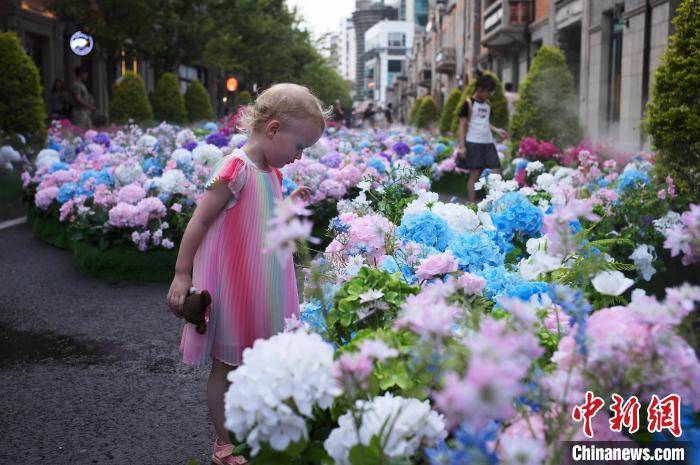 🌸【2024澳门天天彩免费正版资料】🌸-企业社会责任国际组织：国际企业大量购买碳信用额或助长“洗绿”现象  第4张