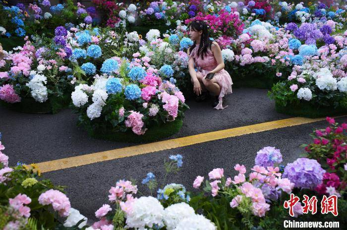 🌸【2024澳门特马今晚开奖】🌸-上海聚力打造国际强港  第3张