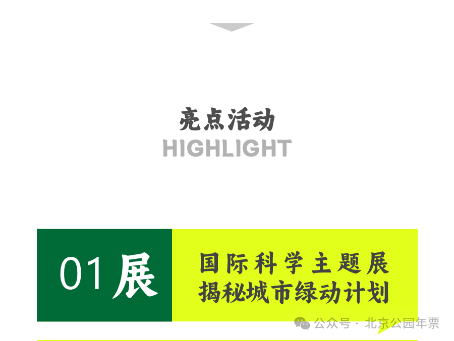 🌸【2024年正版资料免费大全】🌸-中方呼吁国际社会根据国际法向难民提供必要保护  第3张