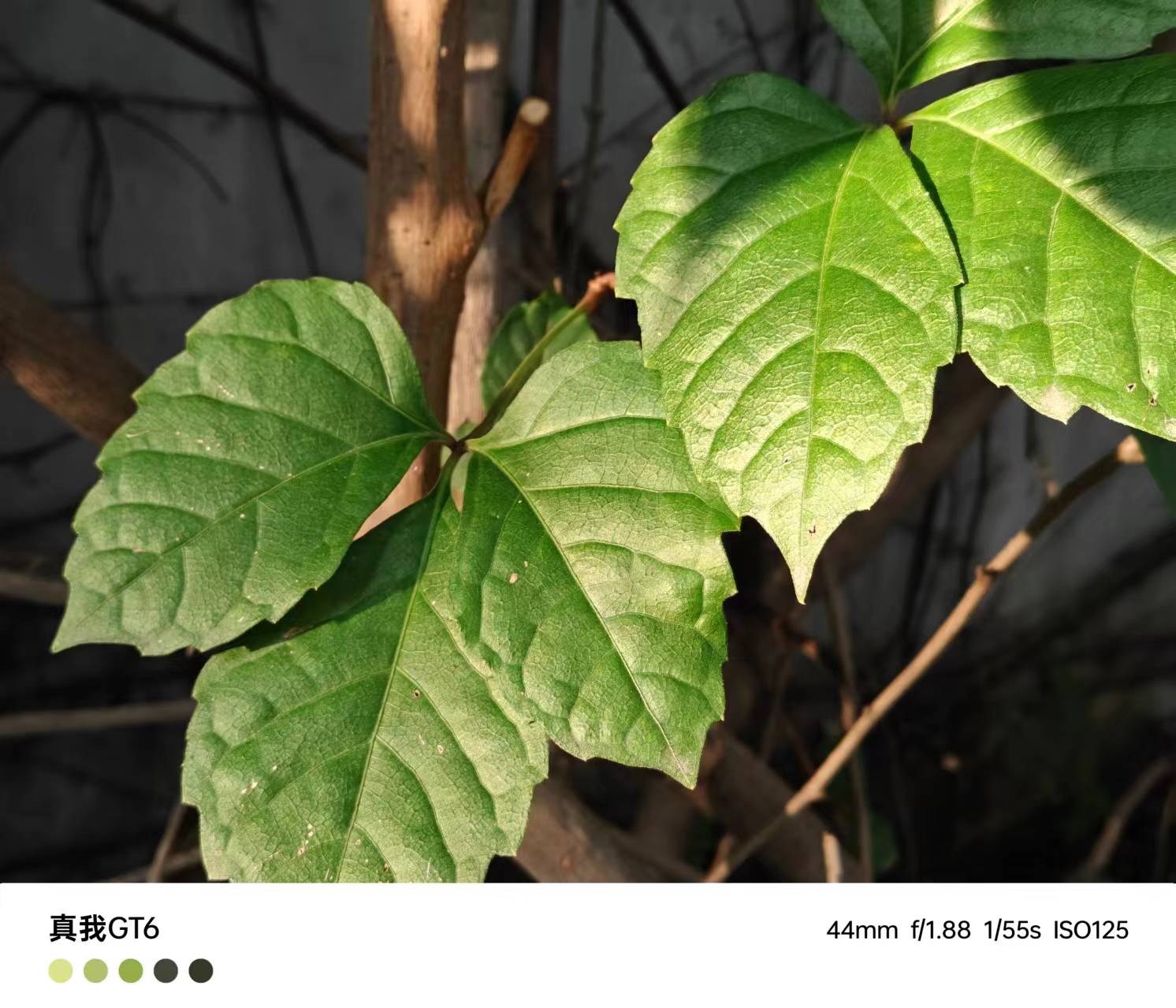 🌸【管家婆期期四肖四码中特管家】🌸-引导孩子健康使用手机，远离沉迷陷阱的实用策略  第1张