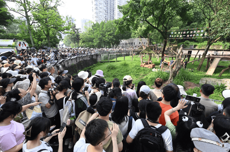 🌸【2024澳门免费精准资料】🌸-巾帼巧手筑幸福！常熟市琴川街道衡山社区打造“拾梦空间”公益助残项目  第1张