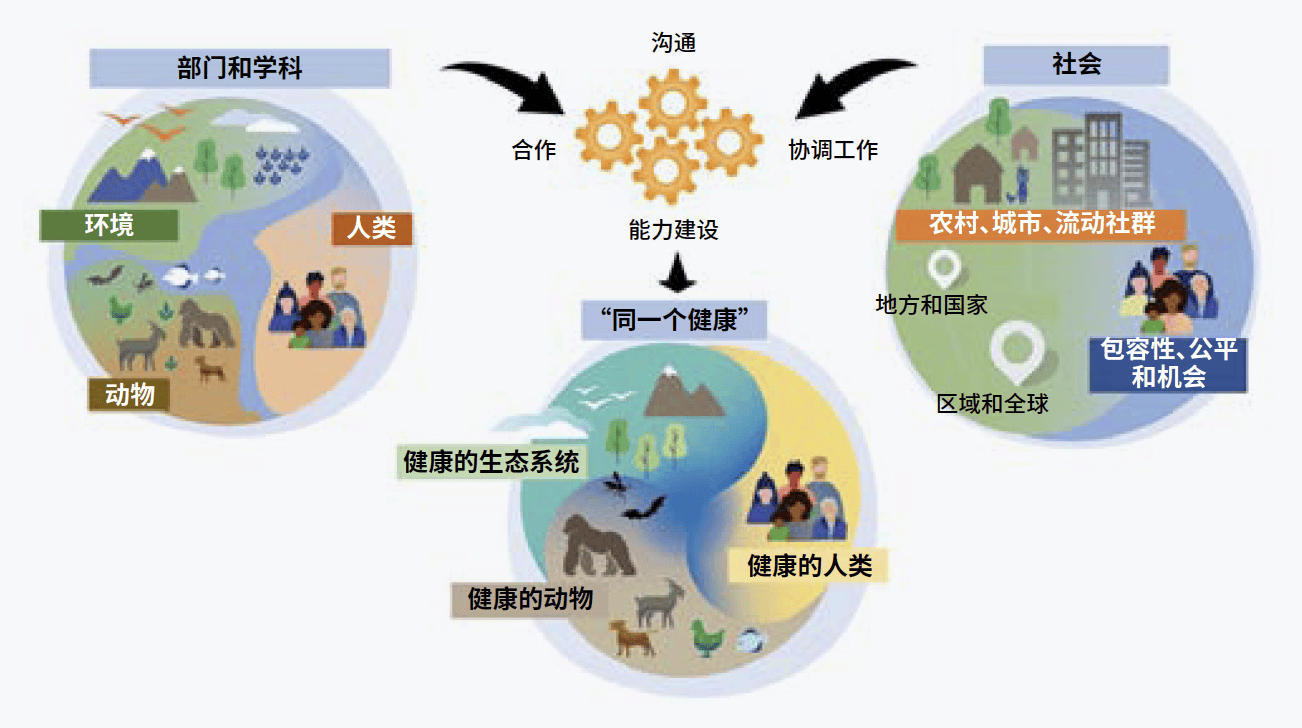 🌸【澳门一肖一码100准免费资料】🌸-健康夜话 | 我也不想做“不高兴女士”  第1张