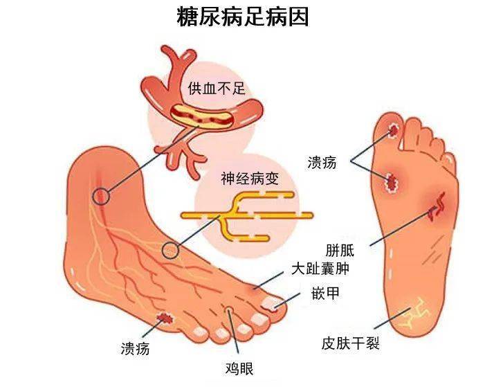 🌸【澳门王中王100%的资料】🌸-苦瓜枸杞新食谱：省时又实用，美味健康  第3张