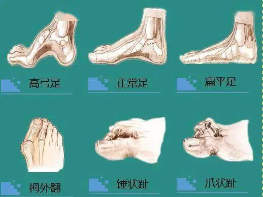 🌸【2024新澳门正版免费资料】🌸-宁阳县实验小学教育集团开展学生心理健康宣传教育月活动