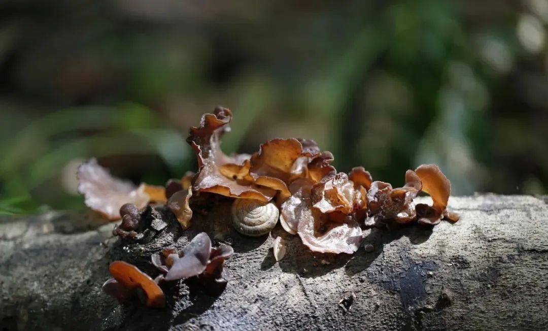 🌸【澳门最难一肖一码一码】🌸-第六届江南文化艺术·国际旅游节闭幕  第1张