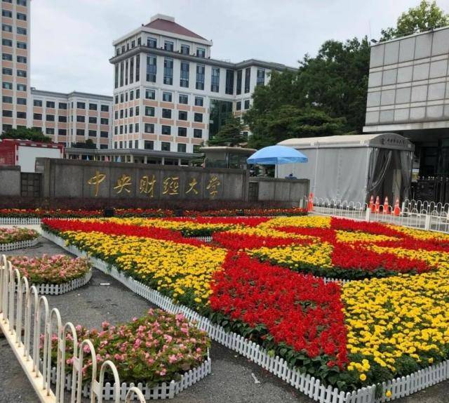 🌸【二四六香港管家婆期期准资料大全】🌸-2024望京Walk国际嘉年华活动启动  第4张