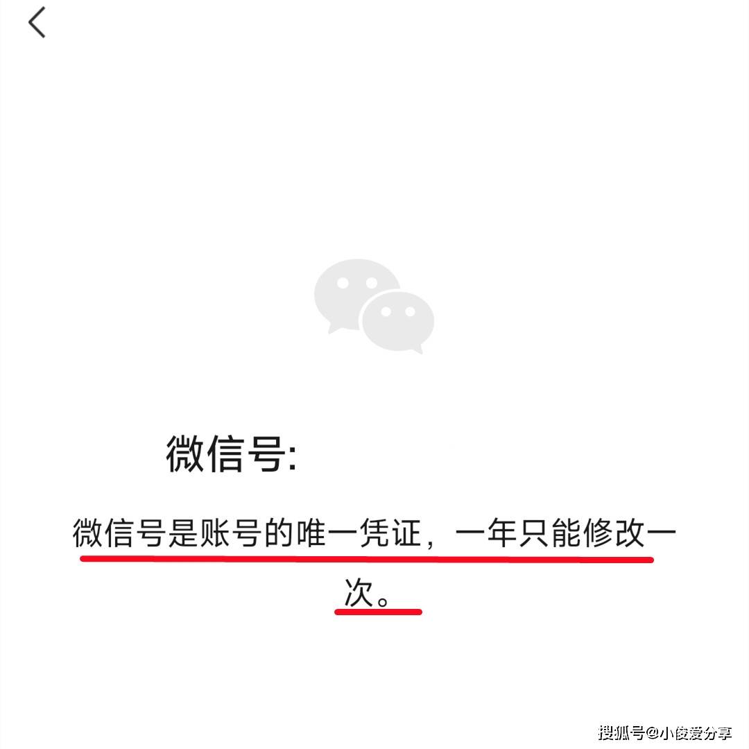 🌸【2024新奥历史开奖记录香港】🌸-拿这款手机拍了几千张照片之后，我觉得蓝厂人像卷出了新高度。  第3张