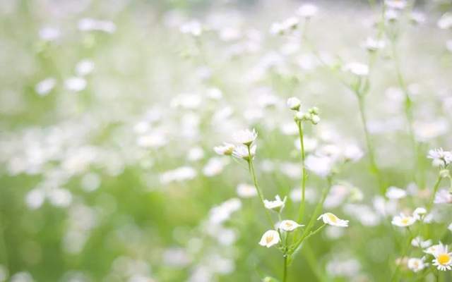 🌸【新澳彩资料免费资料大全】🌸-诱导“刷脸”支付、索取手机号，注意自动售货机的“小心机”  第3张