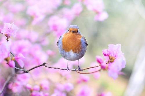 🌸【管家婆一码一肖100中奖】🌸-蜂助手：与运营商、银行、物业、手机厂商、超级APP等行业的数百家头部客户建立深度合作关系  第5张