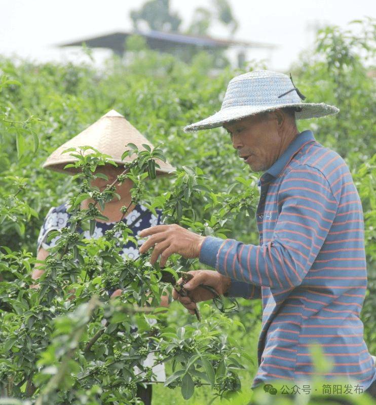 🌸【新澳精选资料免费提供】🌸-广安门医院举办“血液病科建科十周年公益活动暨2024中华血液公益行”患教会