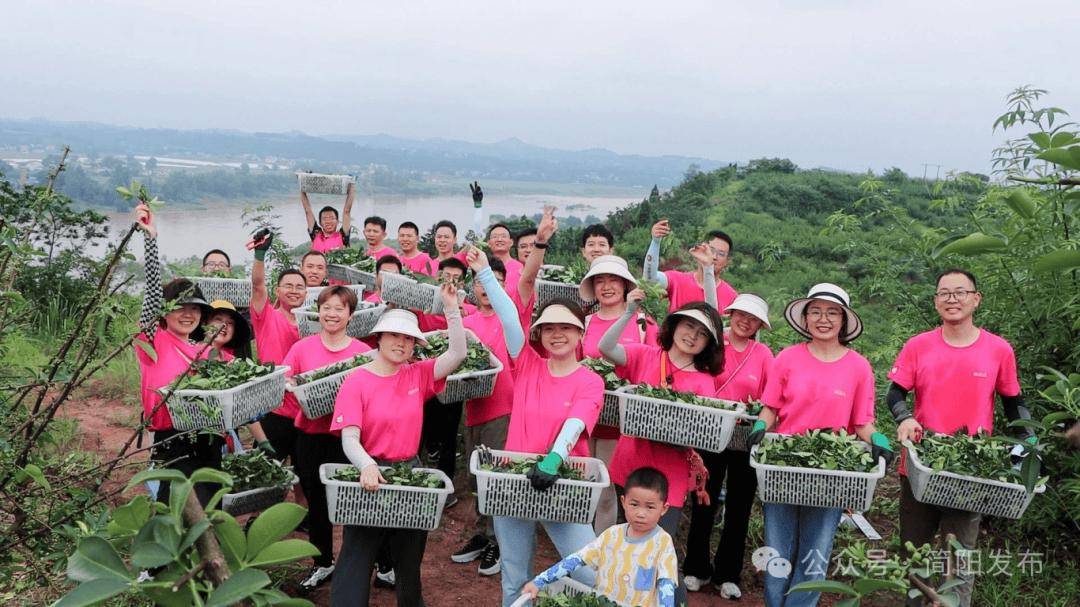 🌸【2024新奥历史开奖记录香港】🌸-助力生态环保 守护用药安全 京东健康发起“过期药回收”公益项目  第4张