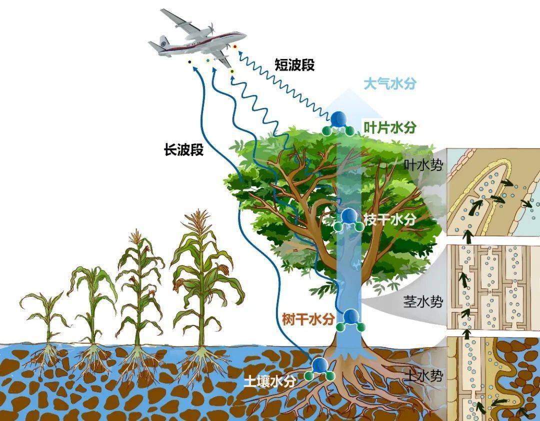 🌸【2024澳门资料大全免费】🌸-国内航司密集新开洲际航线，国际航班量恢复至疫情前超七成  第4张