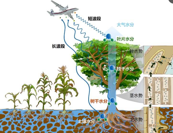 🌸【澳门管家婆一肖一码100精准】🌸-三一国际(00631)下跌5.01%，报6.07元/股  第3张