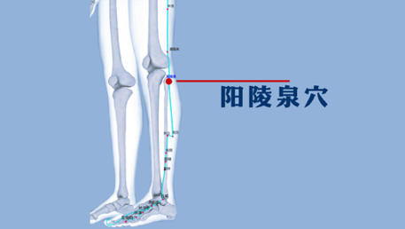 🌸【2024年澳门一肖一马期期准】🌸-健康皮肤，美丽中国|2024皮肤健康大会即将盛大开幕