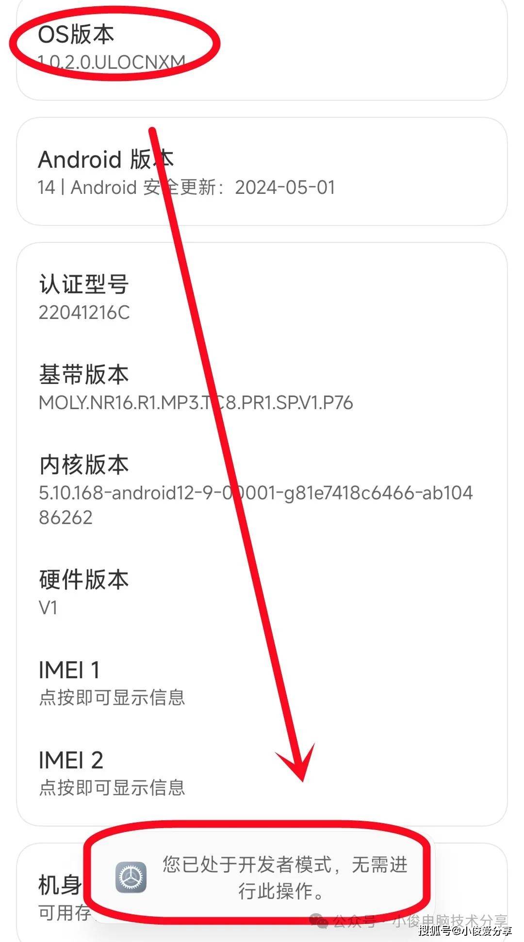 🌸【新澳门精准资料大全管家婆料】🌸-做拍人最好的手机 vivo S19 Pro同档首发全焦段人像  第2张