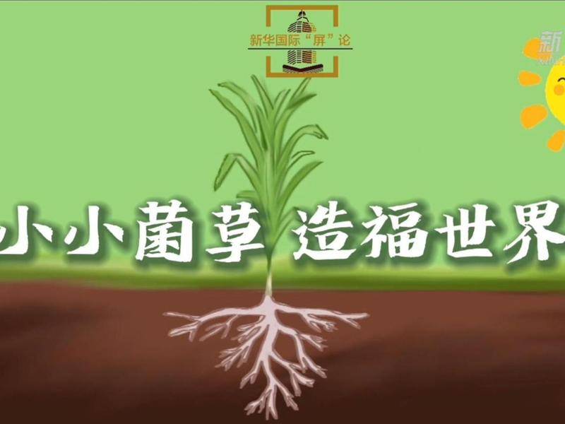 🌸【7777788888精准跑狗】🌸-刚刚！第十三届中国（贵州）国际酒类博览会盛大开幕  第1张