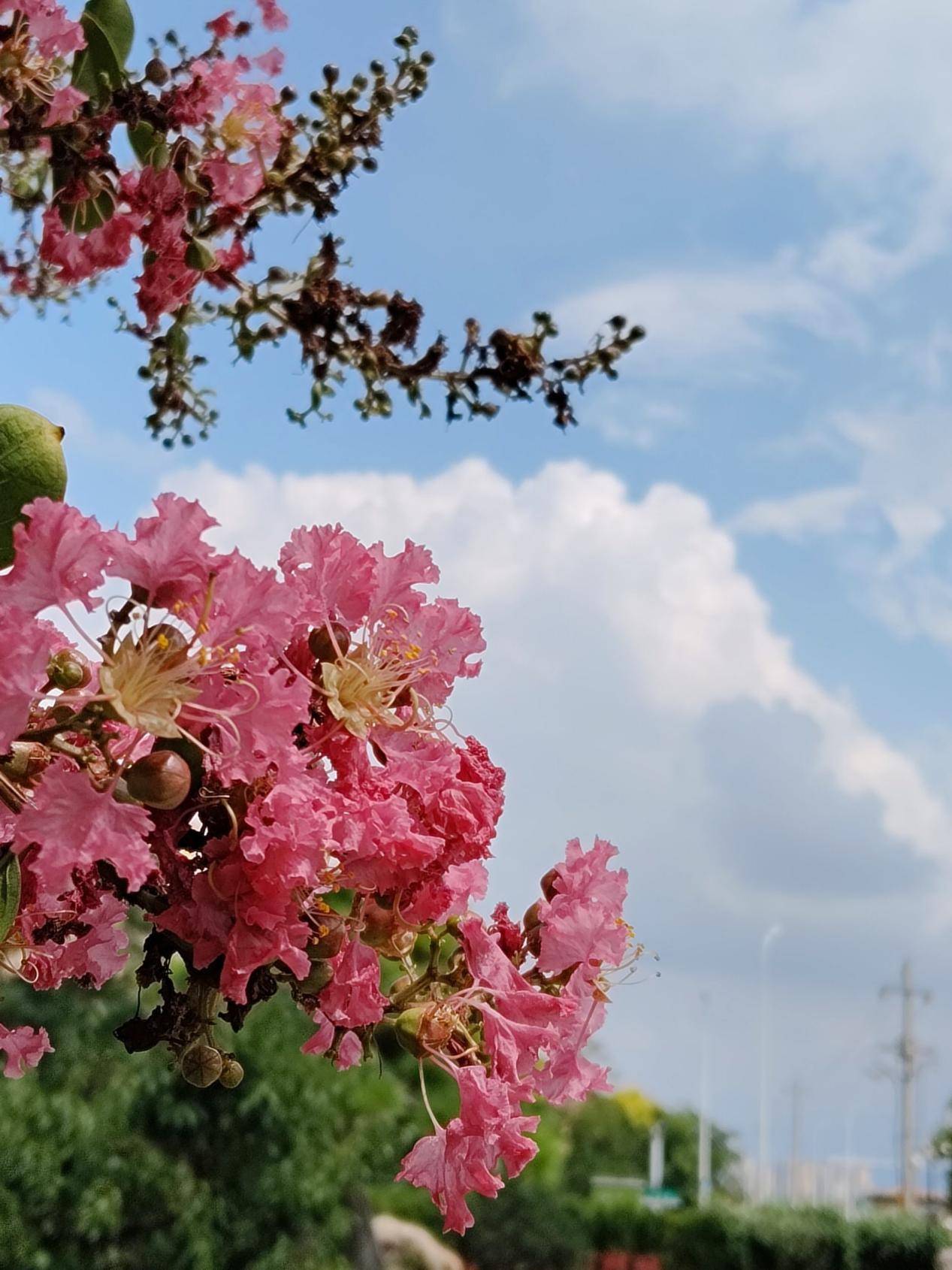 🌸【新澳门一码一肖一特一中】🌸-华为麒麟芯片供货充足 新品手机将全线普及  第4张