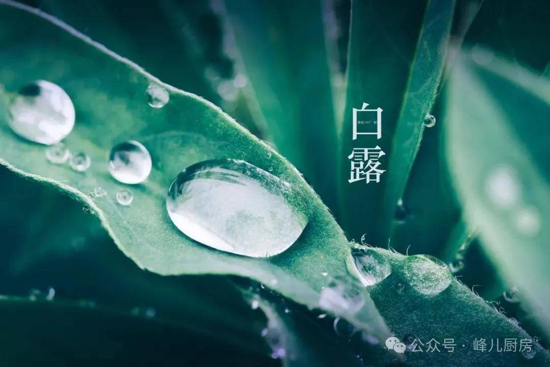 🌸【王中王一肖中特4933333】🌸-在“韵”动中健康成长 —临沂沂龙湾小学构建“一校一品”啦啦操特色文化品牌  第5张