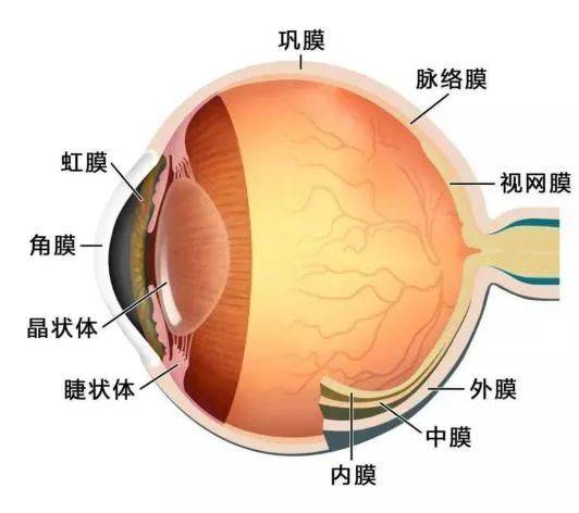 🌸【2024正版资料大全免费】🌸-独居老人突遇健康危机，社区迅速行动化险为夷