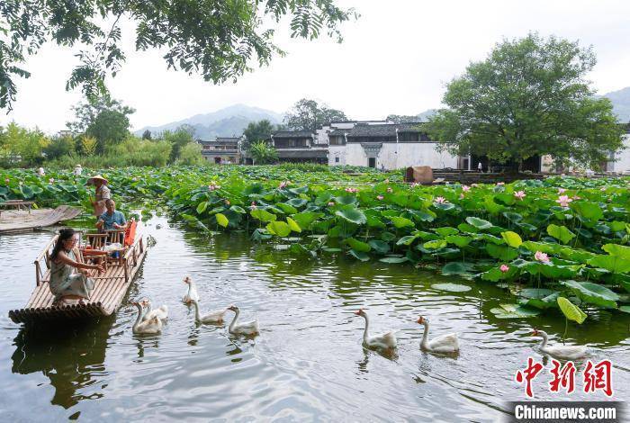 🌸【新澳彩资料免费资料大全】🌸-近百位国际旅行商代表走进重庆  第2张