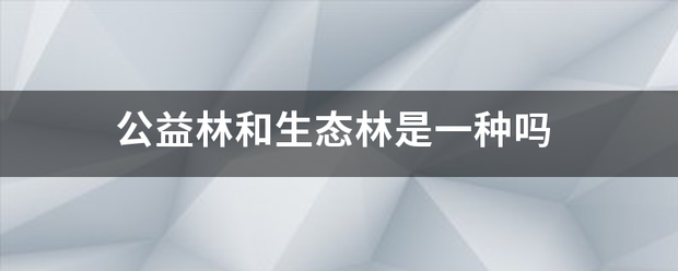 🌸【新澳2024年精准一肖一码】🌸-十年公益路 捷豹路虎希望小学将爱和梦想点亮  第6张