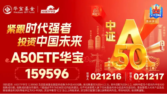 资金逆市揽筹，龙头宽基A50ETF华宝（159596）5月大举吸金3.52亿元！高盛：当前或是入市好时机  第4张