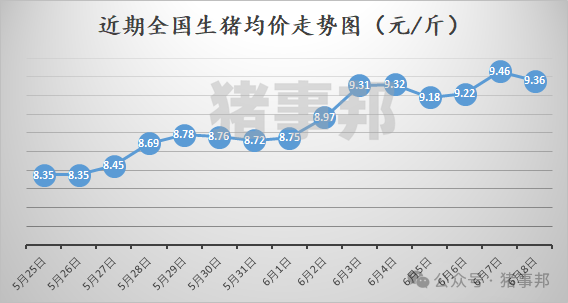 猪事邦|| 6月8日猪价汇总及分析（冲高回落！）