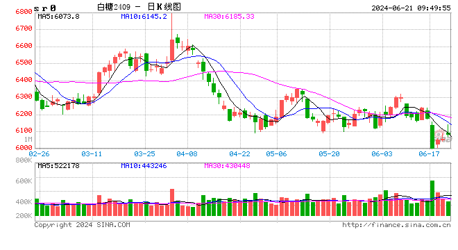 光大期货软商品类日报6.21