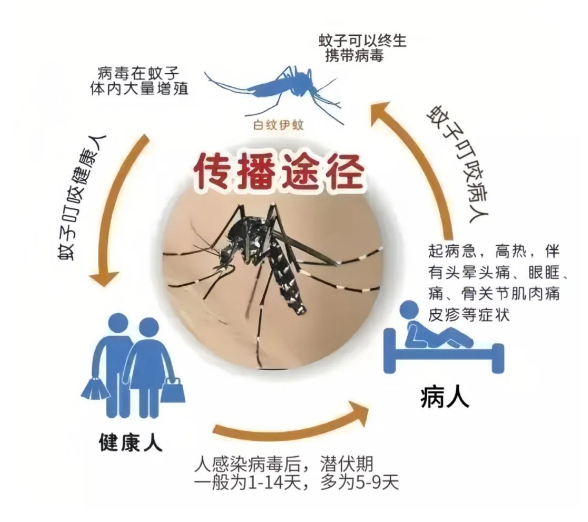 最新“蚊子地图”发布，涉及广州22个镇街