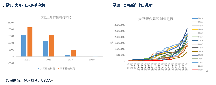 【粕类半年报】粕类市场驱动有限 交易主线或为预期差  第5张