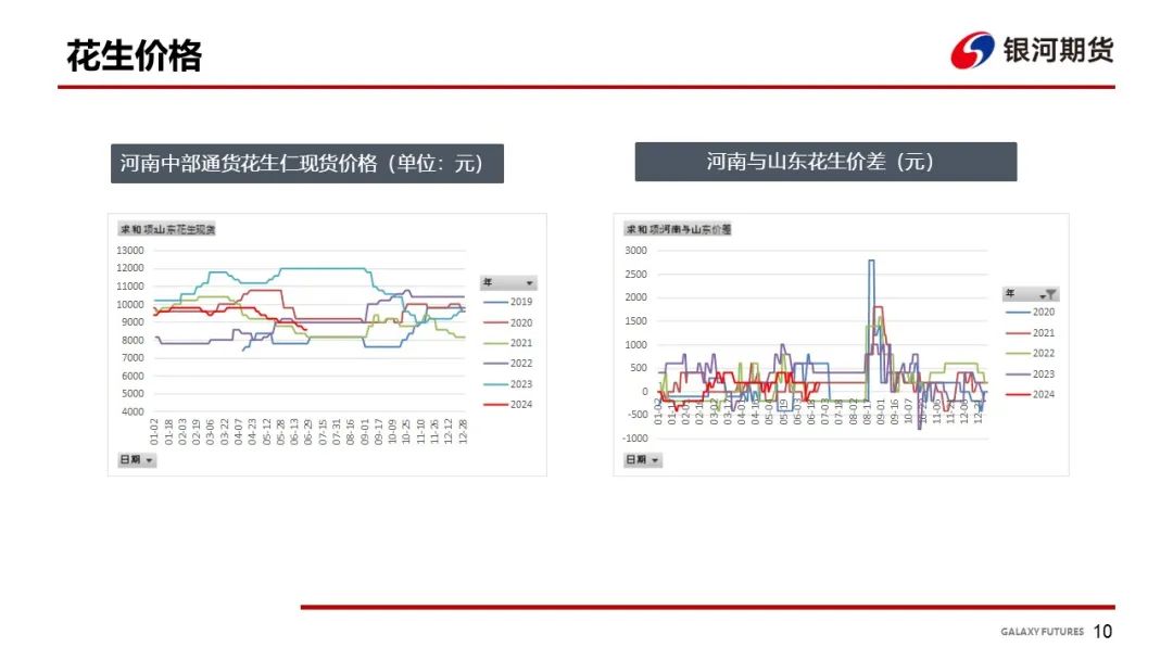 【花生周报】东北产区花生止跌反弹  盘面底部反弹 第12张