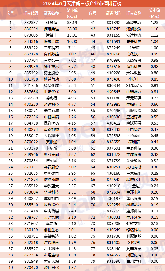 2024年6月天津新三板企业市值排行榜：13家企业去年净利润超3000万元  第5张